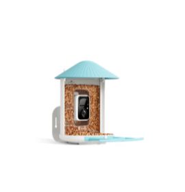 Birdfy Smart Bird Feeder