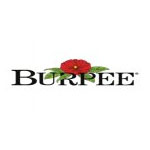 Burpee