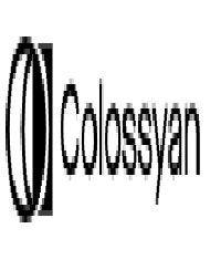 Colossyan Coupons Code